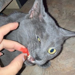 Meet your Posher, Alison